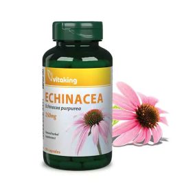 Vitaking Echinacea - Bíbor Kasvirág kivonat 250mg (90) 