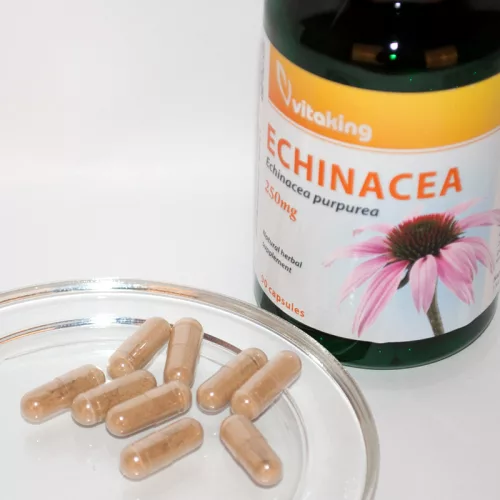 Vitaking Echinacea - Bíbor Kasvirág kivonat 250mg (90) 