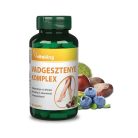 Vitaking Vadgesztenye komplex 450mg mikronizált diozminnal (60) 