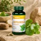 Vitaking Gotu Kola (ázsiai gázló) kivonat (60)