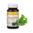 Vitaking Ginkgo Biloba kivonat 60mg (90)