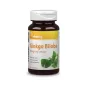 Vitaking Ginkgo Biloba kivonat 60mg (90)