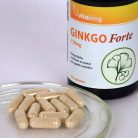 Vitaking Ginkgo Biloba Forte 120mg (60) 