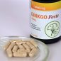 Vitaking Ginkgo Biloba Forte 120mg (60)