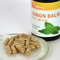Vitaking Citromfű levél 500mg (60)