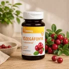 Vitaking Tőzegáfonya kivonat C-vitaminnal (90)
