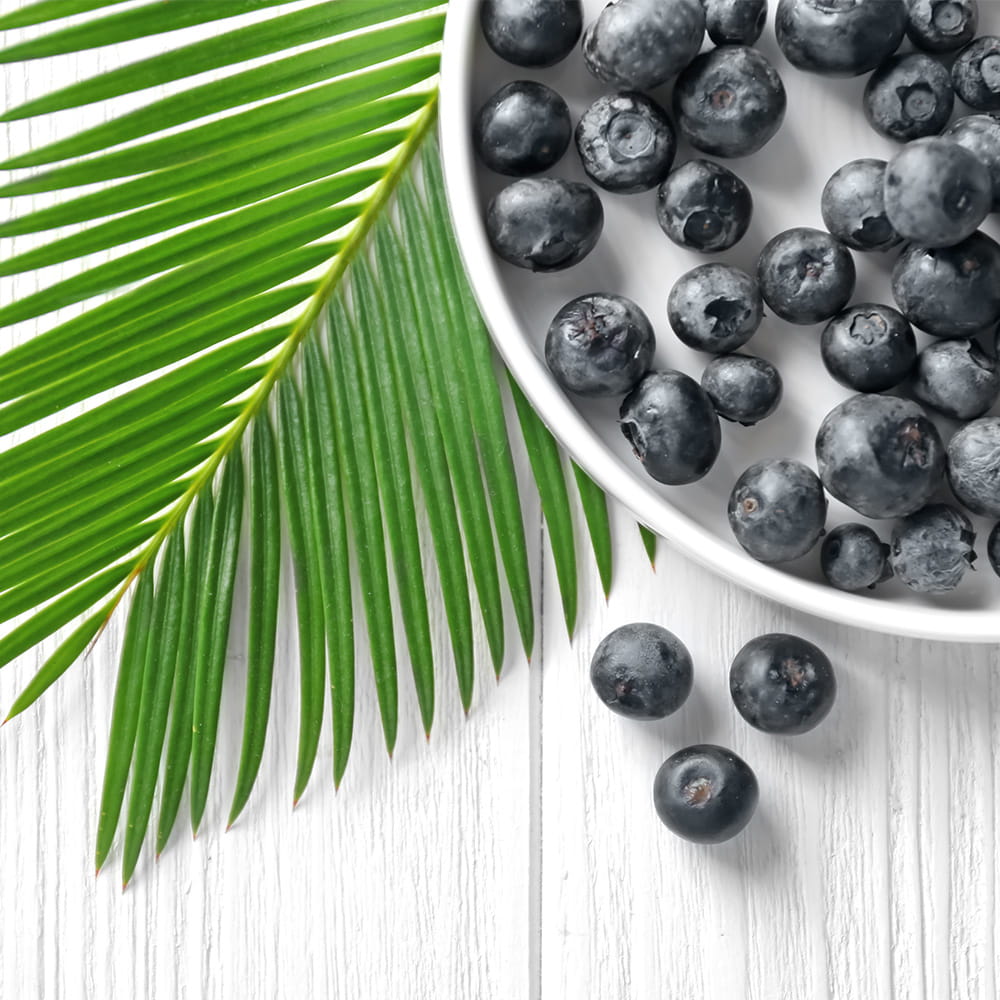 Acai Berry: antioxidáns szupergyümölcs a vitalitásért