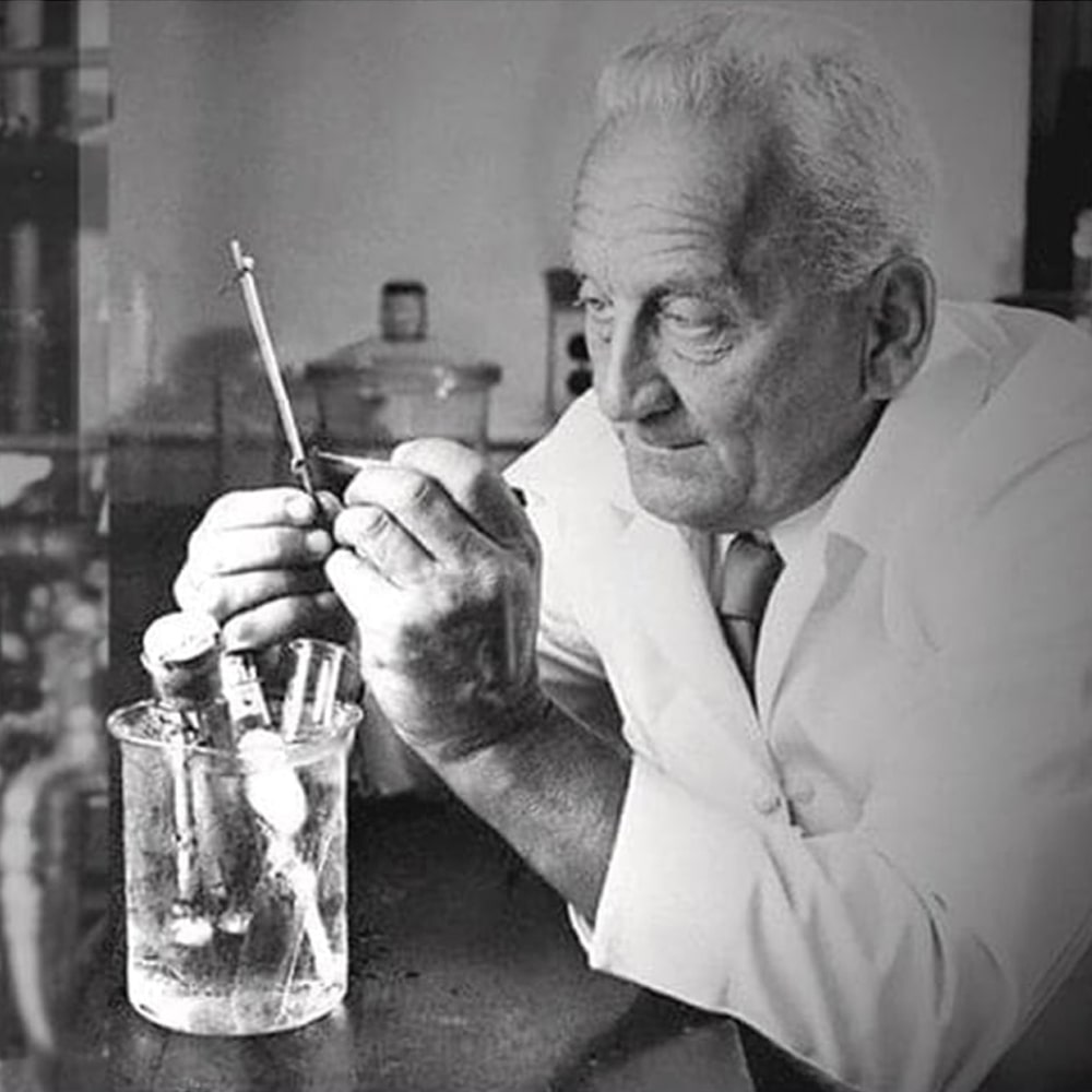 Szent-Györgyi Albert és a C-vitamin felfedezése