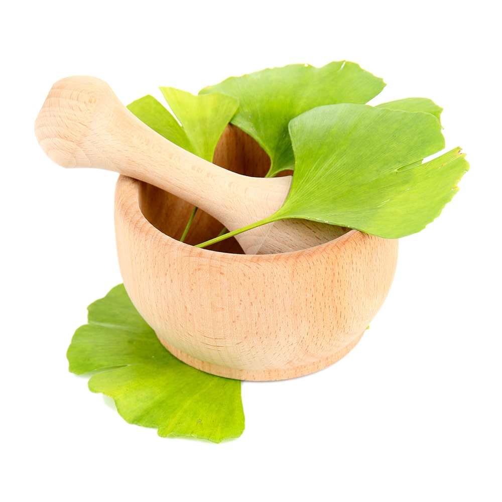Ginkgo Biloba