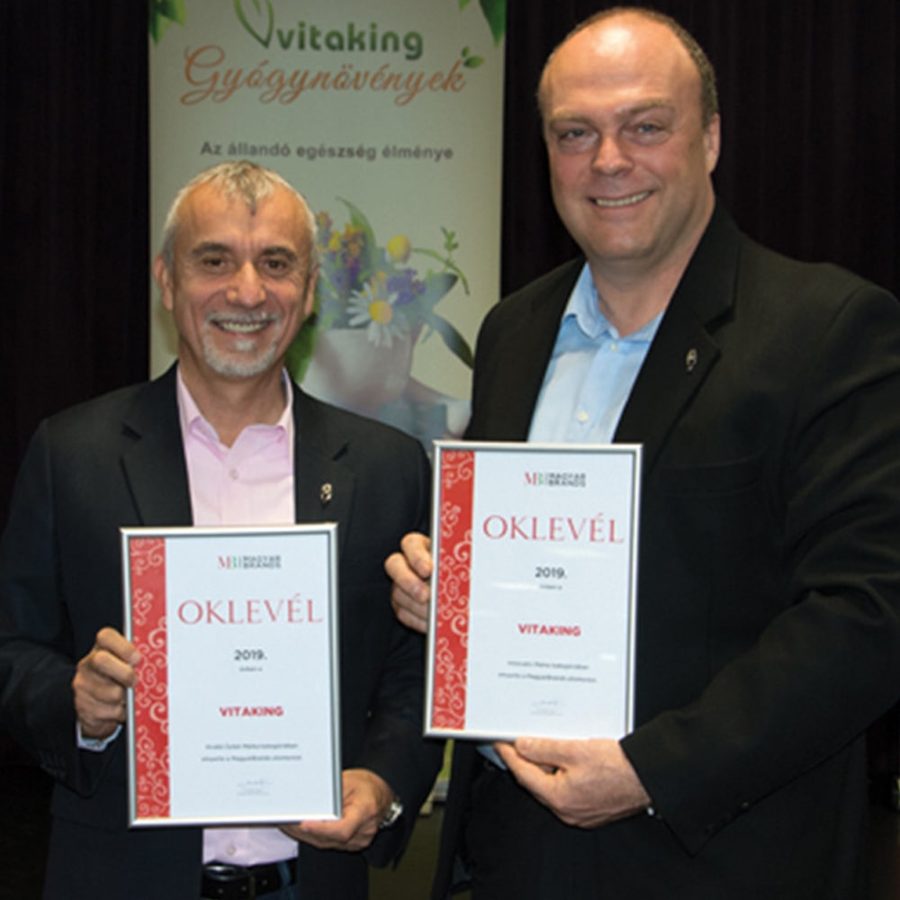MagyarBrands díjas lett a Vitaking Kft.