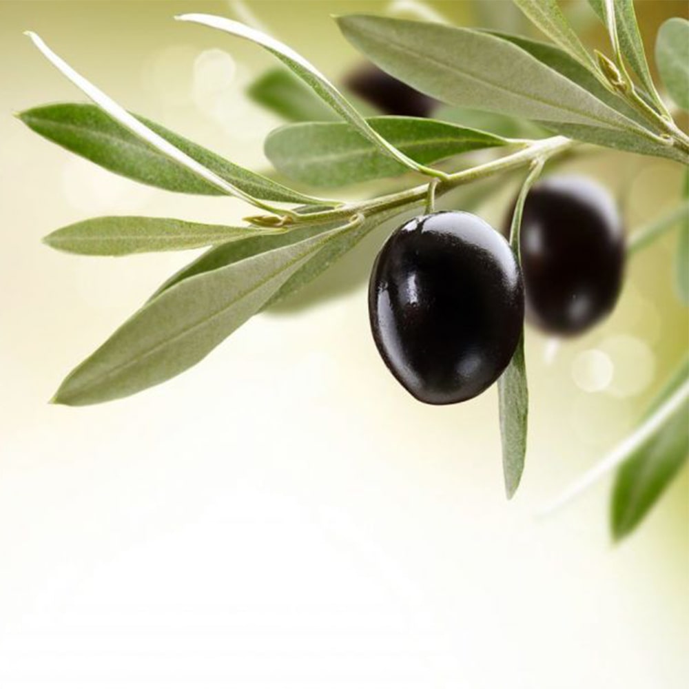 A mediterrán egészségmegőrző